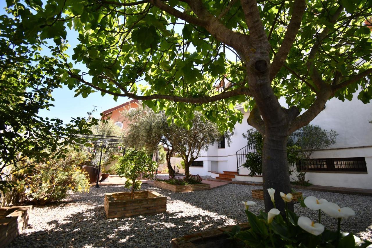 Villa Maria, Piscina Y Spa Exterior Privado Belicena Exterior foto